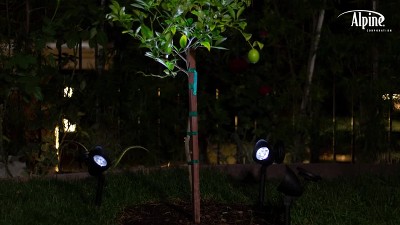 Black Solar Powered LED Pathway Light Set of 6