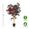 Cesicia 1PC 4 Feet Tall Artificial Ficus Tree with Nursery Pot - 2 of 4