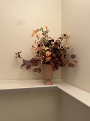 Guest review image 4 of 4, zoom in