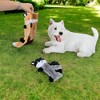 Alilang Dog Squeaky Plush Toy Set of 3 Raccoons Unstuffed Interactive Dog Toys for Small to Medium Dogs, 3 Pack - 2 of 4