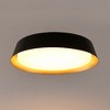 DORESshop 12.2 In. 1-Light Black Gold Flush Mount Ceiling Light with 5CCT Dimming LEDfor Bedroom Hallway 1-Pack - 4 of 4