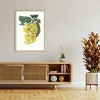 Amanti Art Paxton Tropicals VIII by Jennifer Paxton Parker Wood Framed Wall Art Print - 4 of 4