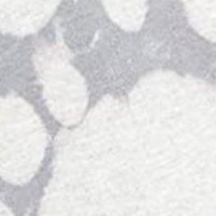 gray-hbtd