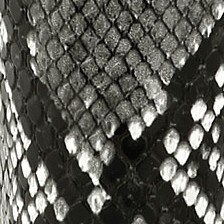 black snake