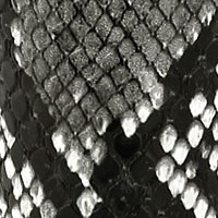 black snake