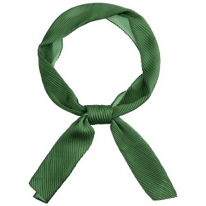 INSPIRE CHIC Women's Solid Contrast Color Pleated Long Satin Neck Scarves 49.2"x4.3" 1 Pc - 1 of 4