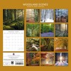 2026 Square Wall Calendar, Woodland Scenes, 16-Month Natural World Theme with 180 Reminder Stickers (12x12 In) - 4 of 4