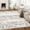Washable Area Rug – Soft Boho Farmhouse Carpet, Non-Slip Indoor Floor Rug for Living Room, Bedroom, Dining, Office - 4 of 4