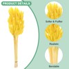 Unique Bargains Artificial Dried Flowers Realistic Look Pampas Bunny Tails Grass 17 Inch - 2 of 4