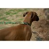 Country Brook Petz Deluxe Dog Collar - Critter Corner Collection - Made In The U.S.A. - 2 of 4