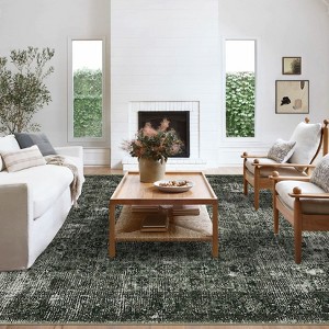 Coolmee Washable Area Rugs for Living Room, Faux Wool Soft Moody Floral Boho Vintage Oriental Indoor Carpet for Bedroom Dining Room - 1 of 4
