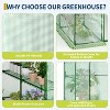 Mini Walk-in Transparent Greenhouse with PE Cover and Anchor, 3 Tiers 4 Shelves Plant Garden for Indoor Backyard Outside - 3 of 4