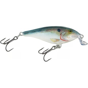 Rapala Shallow Shad Rap 05 Fishing Lure - 1 of 1