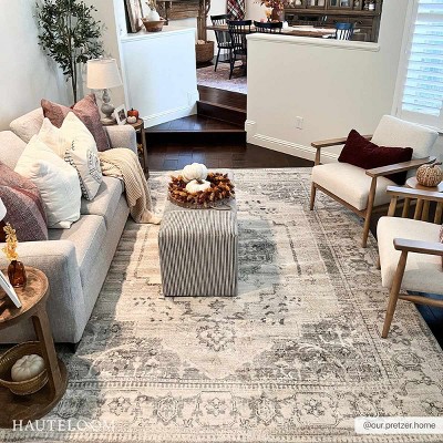 Hauteloom Tigried Ivory & Gray 2315 Area Rug