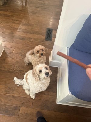 Guest review image 1 of 2, zoom in