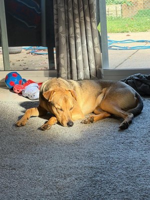 Guest review image 1 of 3, zoom in