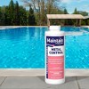 Pool Central Maintain Pool Pro Metal Control - 1 Quart - 2 of 3