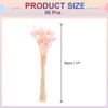 Unique Bargains Natural Dried Floral Bunny Tail Artificial Plants 60 Pcs - 2 of 4