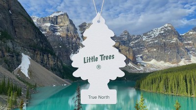 Little Trees Black Ice Air Freshener 6pk: Car Scent Paper Fresheners, Disposable Non-Powered, 6 Pack, 2 of 7, play video