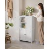 Dcolora Bathroom Floor Storage Cabinet, Bathroom Storage Unit, Freestanding Cabinet - 2 of 4