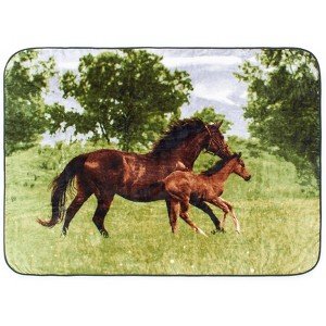 BrylaneHome High Pile Oversized Animal Throws - 1 of 1