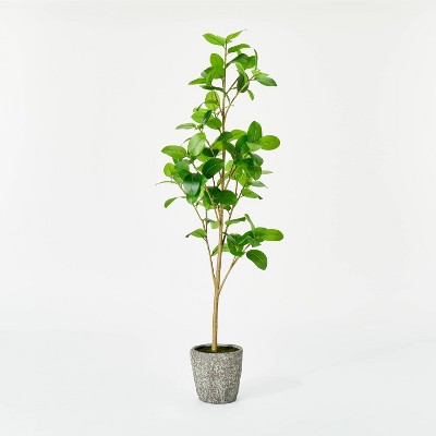 Banyan Leaf Potted Tree - Threshold™ designed with Studio McGee