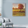Trademark Fine Art -Tim Otoole 'Field In Fall' Canvas Art - 3 of 4