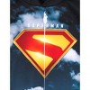 DC Comics Justice League Fleece Pullover Hoodie Toddler - 3 of 4