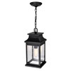 CWI Lighting Milford 1 Light Outdoor Black Pendant - 3 of 4