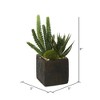 Vickerman 8" Artificial Green Succulent Arrangement, Pack of 2 - 2 of 3