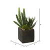 Vickerman 8" Artificial Green Succulent Arrangement, Pack of 2 - image 2 of 3