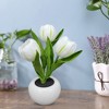Tulip Night Light with Realistic PU Fake Flower - Potted Plant Table Decoration, Touch-Friendly Ambient Light for Living Room Home - 4 of 4