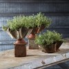 Plum & Post Galvanized Handkerchief Planter - 3 of 3