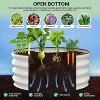 Raised Beds for Outdoor, Raised Garden Bed with Open Base, Tool-Free Assembly Planter Raised Boxes for Outdoor Vegetables & Flowers - 3 of 4