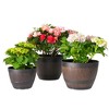 VECELO 9/11.3/13 in. Planters, Plastic Pot with Perforated Tray, Decorative Foliage Plants, Vintage Planters 3-Piece Set, Artificial Wood Planters - 4 of 4