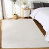 Fluffy Shaggy Rug: Tie-Dyed Furry Non-Shedding Plush Rug – Fuzzy Accent Carpet for Living Room, Bedroom | Soft Feet-Friendly Home Decor Floor Cover - 4 of 4