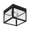 Livex Lighting Nyack 2 - Light Flush Mount in  Black - 3 of 4