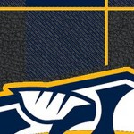 nashville predators