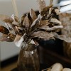 Sullivans 8" Ribbed Amber Glass Vase - 3 of 4