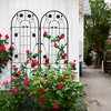 Syemin Patio Decorative Screens, Iron Arch Decoration Garden Trellis, for Outdoor for Climbing Plants Support, Flowerbed, Black, 40"*19.7"*71" - 4 of 4