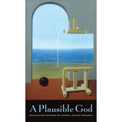 A Plausible God - by  Mitchell Silver (Paperback)