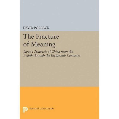 The Fracture of Meaning - (Princeton Legacy Library) by  David Pollack (Paperback)