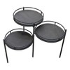 Moti Anaheim Indira Farmhouse Metal/Solid Wood Foldable Planter Stand in Black - 3 of 3