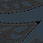 vegas golden knights