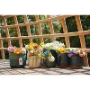 SpassWay 14" Dia Outdoor Indoor Ceramic Planter Pot Decorative Planter with Drainage Hole Patio Flower Pot - 4 of 4