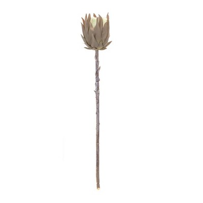 Brown 20" Plastic Protea Stem Arrangement Set
