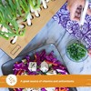 HAMAMA Home Green Onion Kit & Bamboo Frame, Regrow Fresh Green Onions Indoors Every Week, 30-Second Setup, Just Add Water - 4 of 4