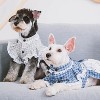 Touchdog (R) I love Poochi Classical Plaid Fashion Designer Dog Dress - 3 of 4