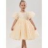 2Bunnies Girls' Organza Puff Sleeve Babydoll Fit & Flare Dress - image 3 of 4