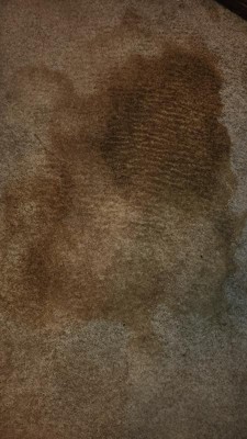 Guest review image 1 of 4, zoom in